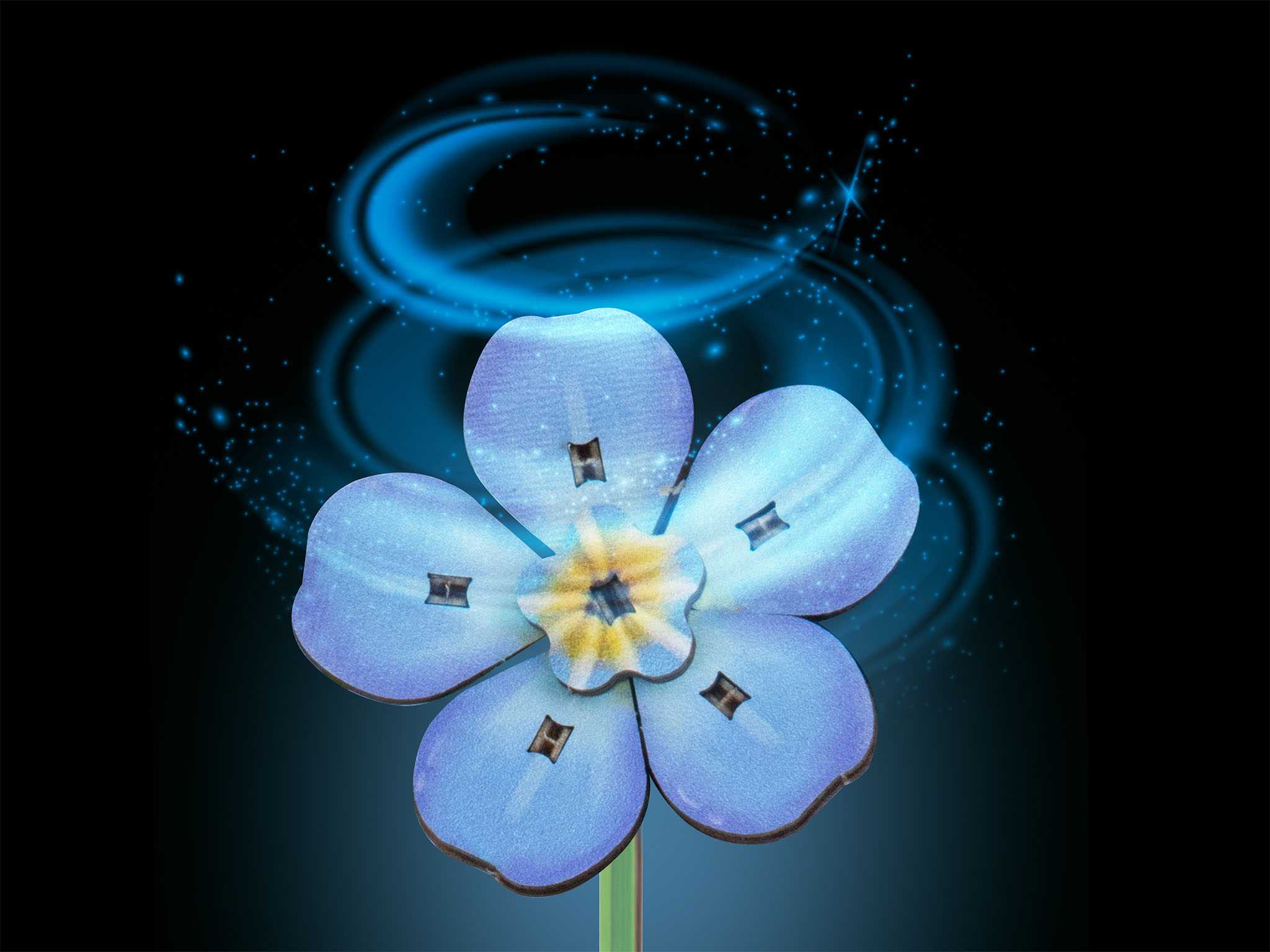 REVELL Flowers 00630 - Blossom Festival